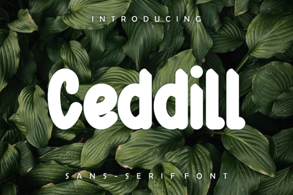 Ceddill: A Bold Display Font for Modern Web Design