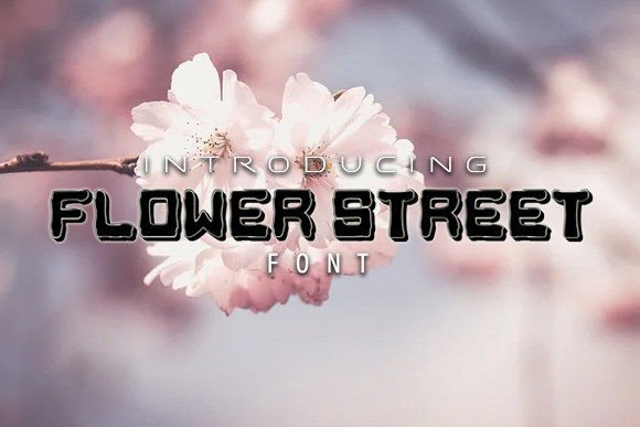 Flower Street: A Display Typeface That Elevates Digital Branding
