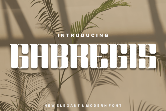 Gabregis: A Display Font That Makes Your Brand Feel Instantly Polished