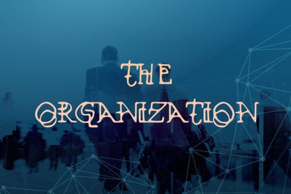 The Organization Display Font for Bold Digital Identity